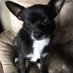 Meet your Posher, Cheryl